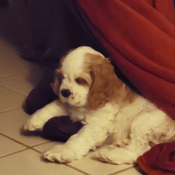 Meet your Posher, Alexandra - Picture 12 of 13